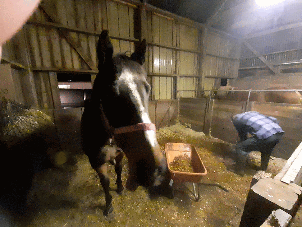 Better keep an eye on him