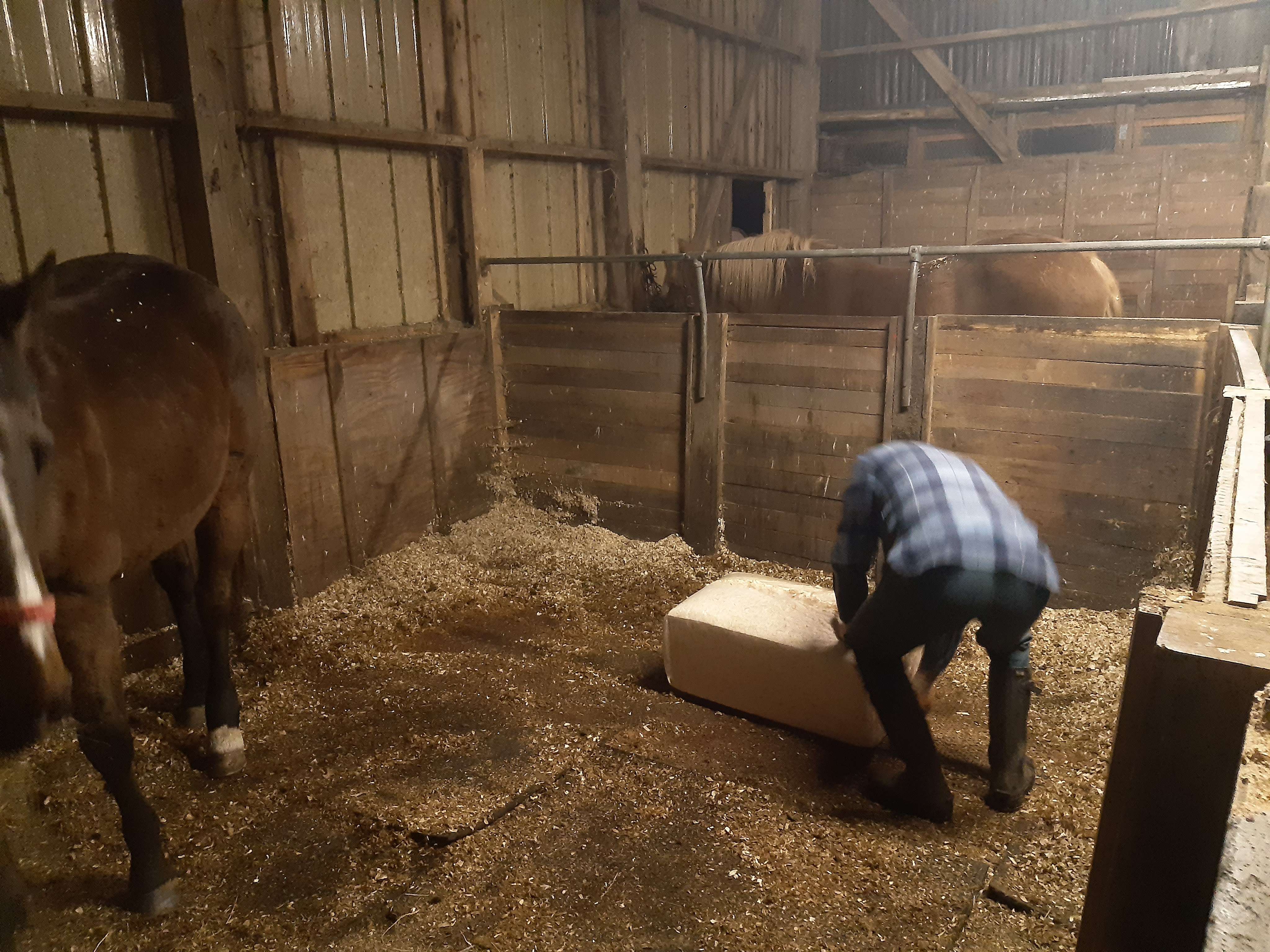 The new bedding arrives