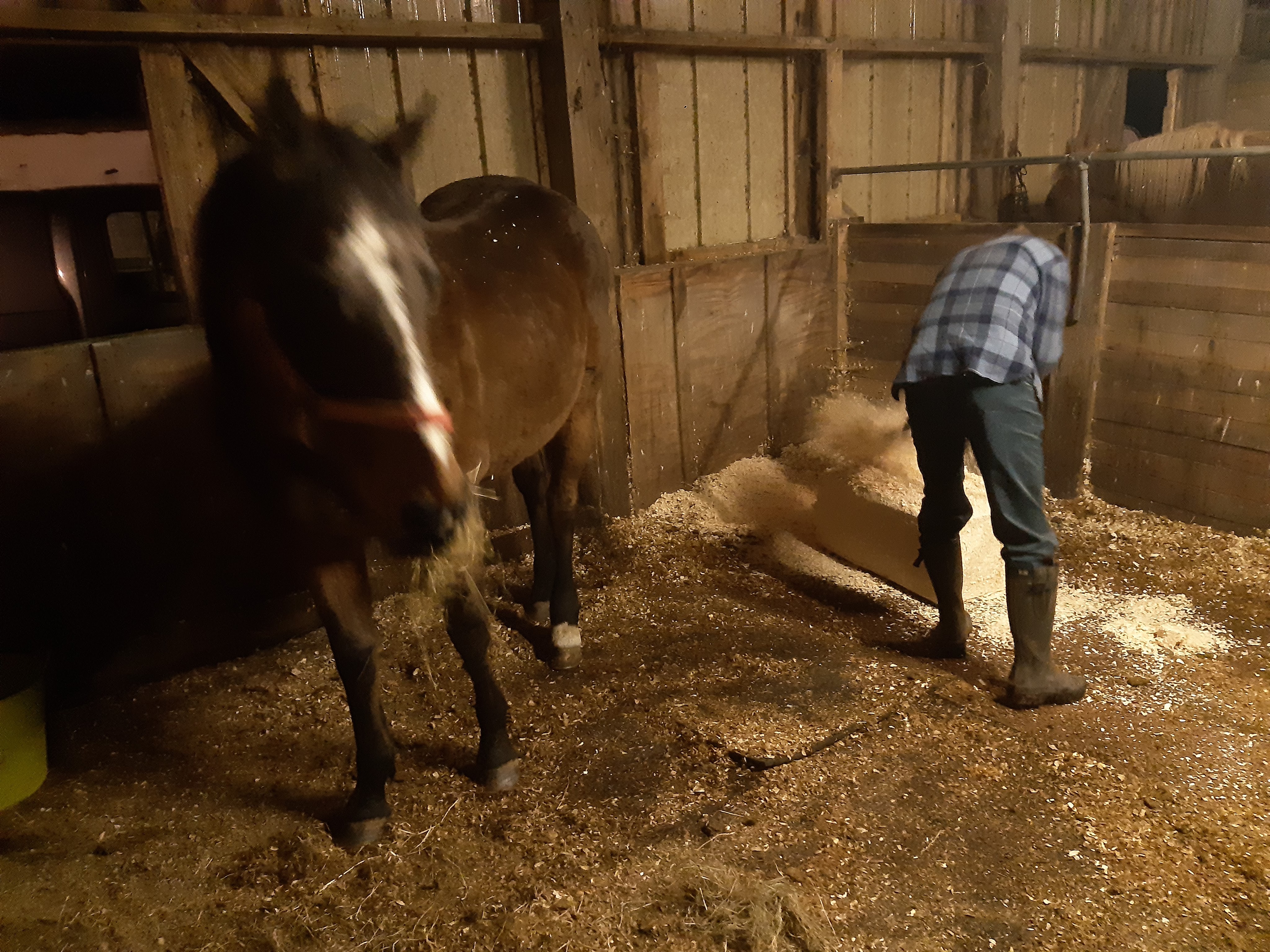 Can he spread it out properly?