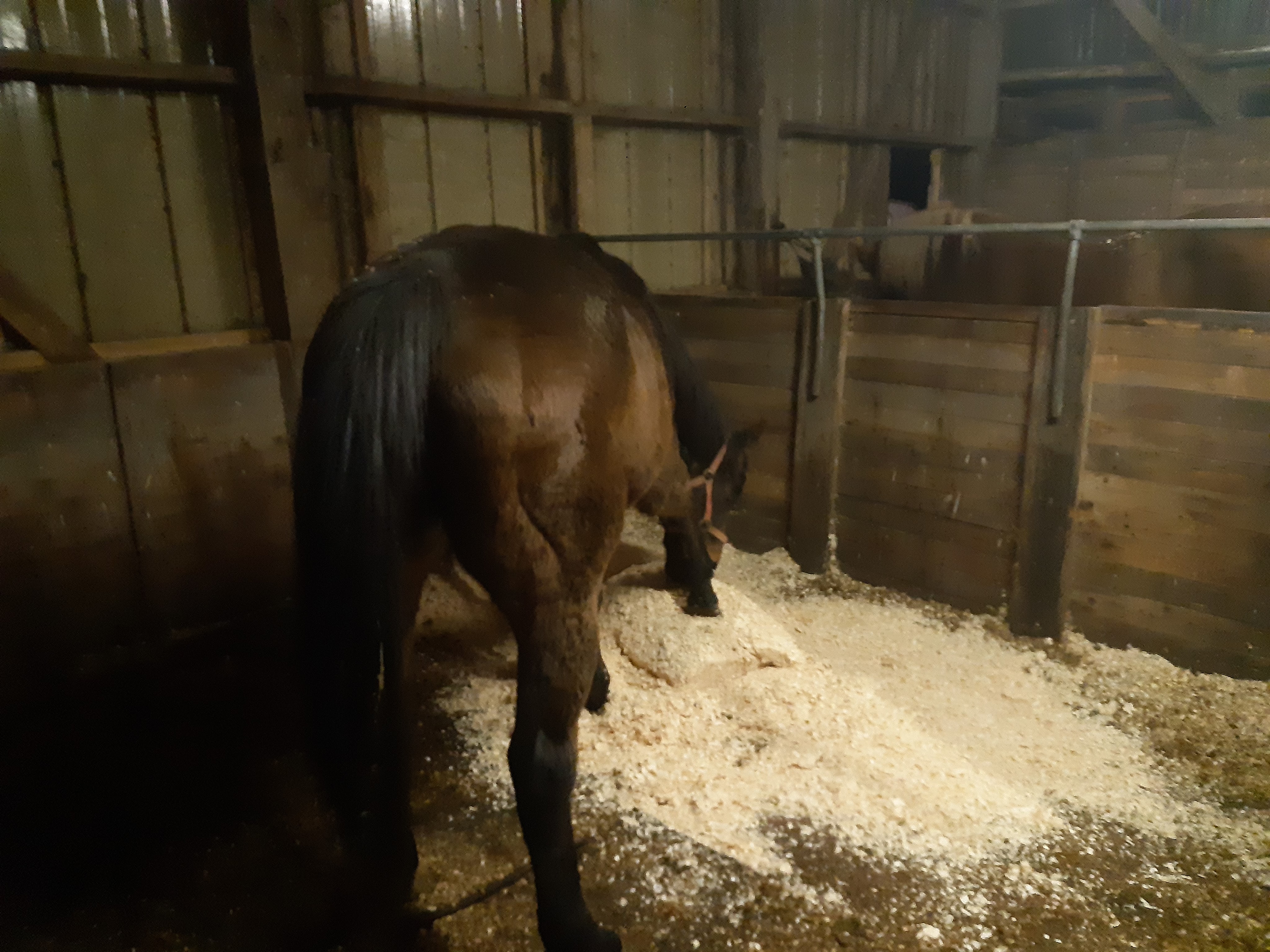 This is how you do it