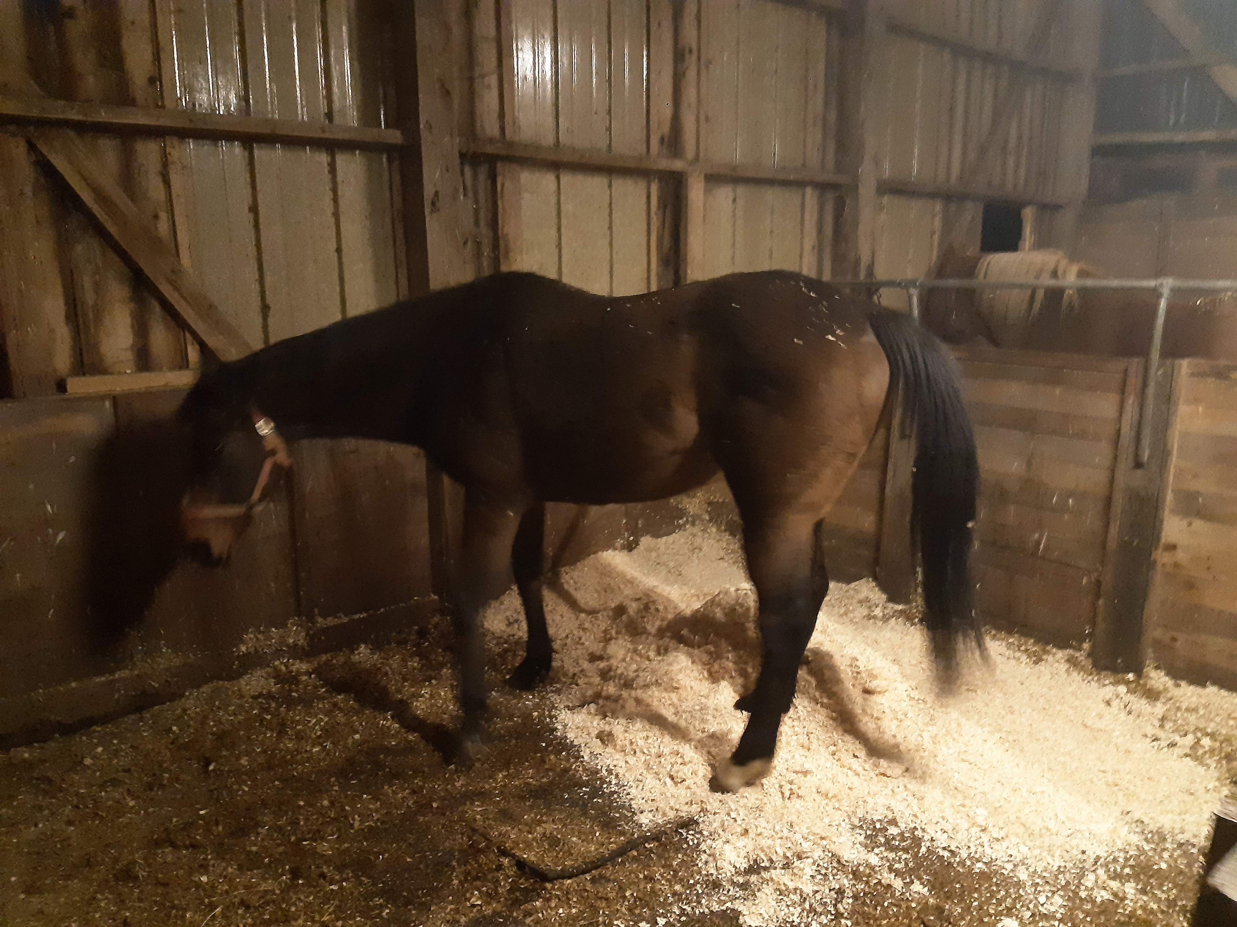 Right, you have a go