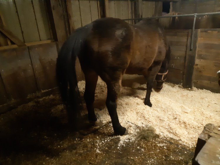 Right son, let me check