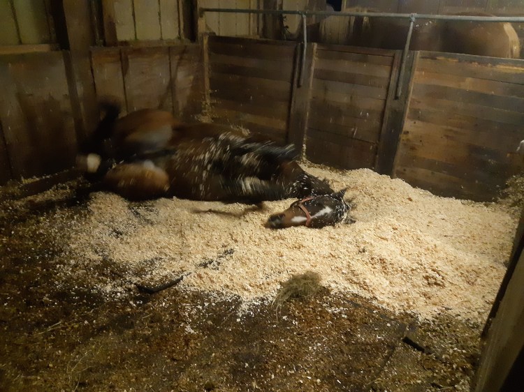 Just scratching my back