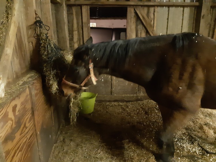 Back to my dinner, you passed mate.