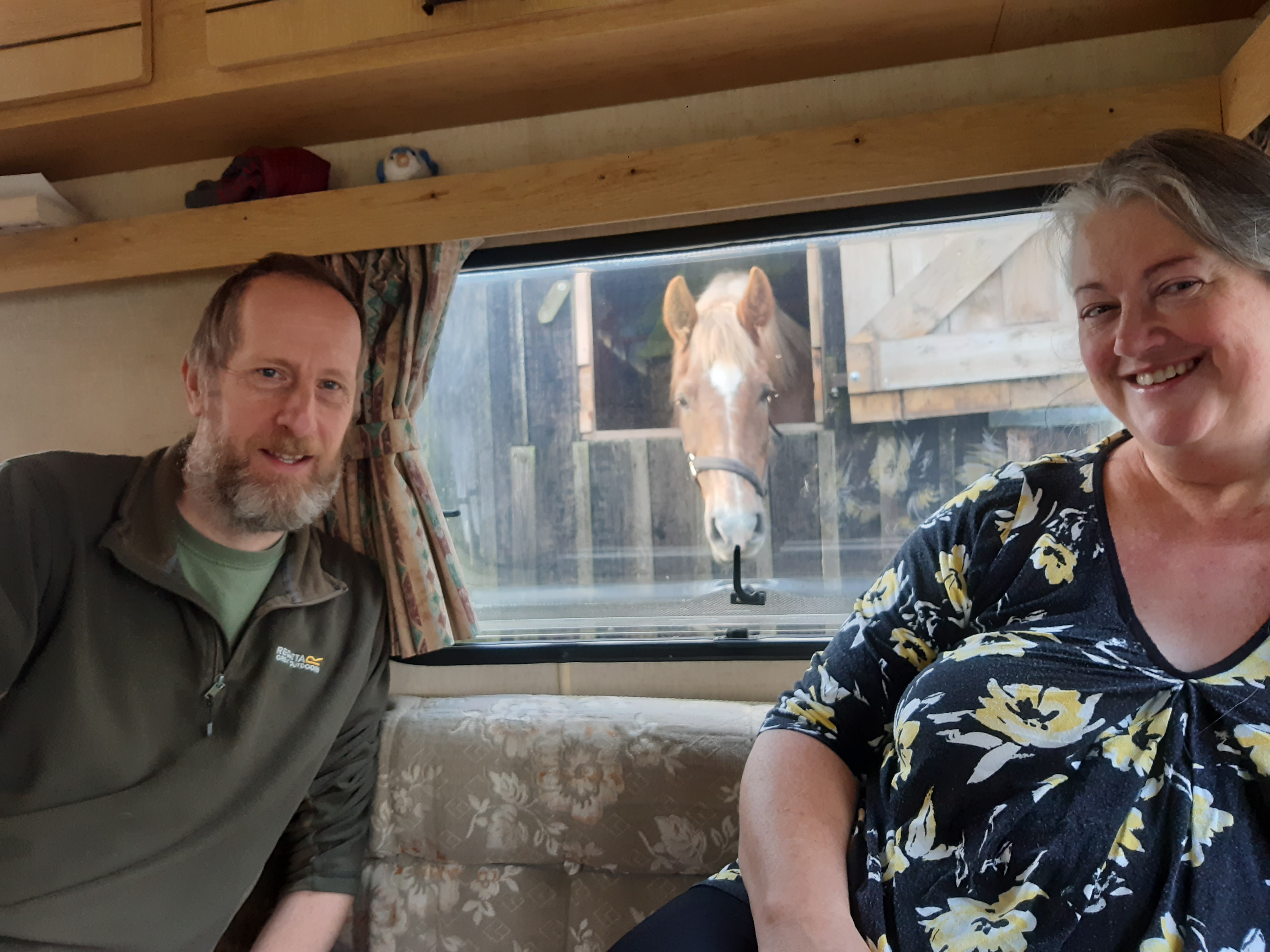 No, I must look, they are too interesting